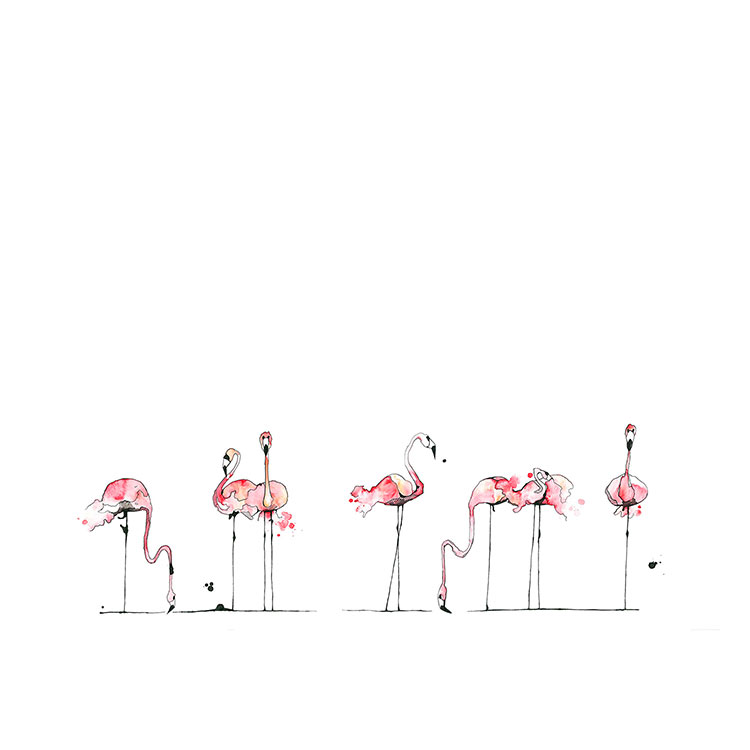 Original (flamingos)