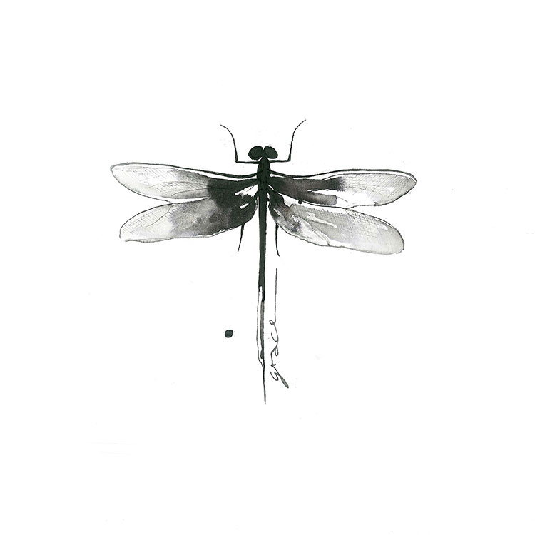 Original (dragonfly)