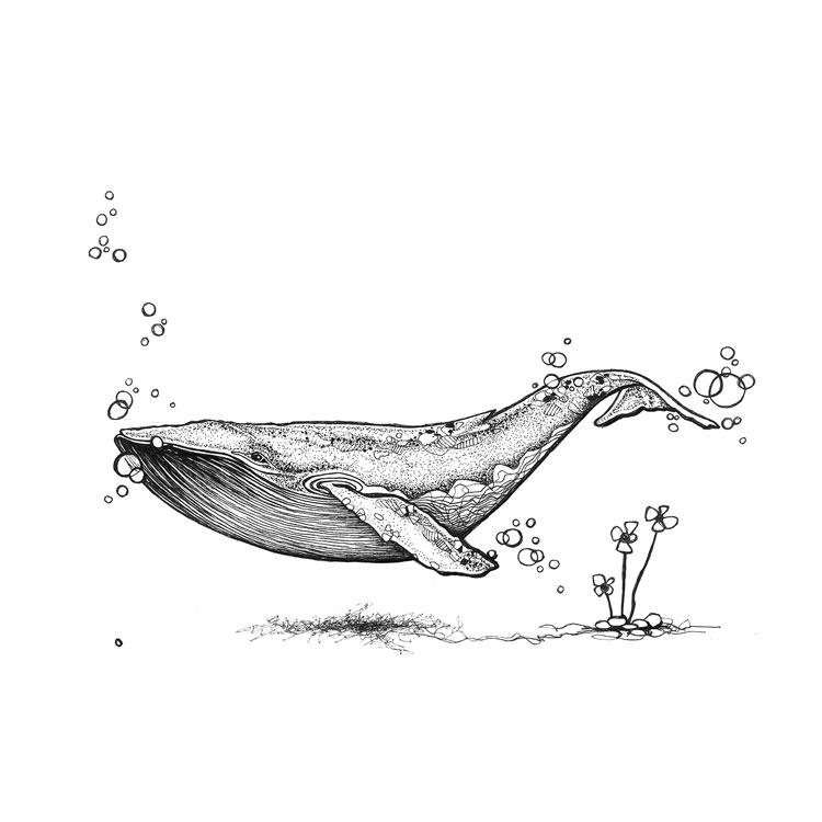 Original (floating whale)