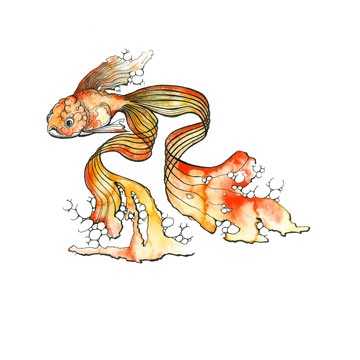 goldfish II